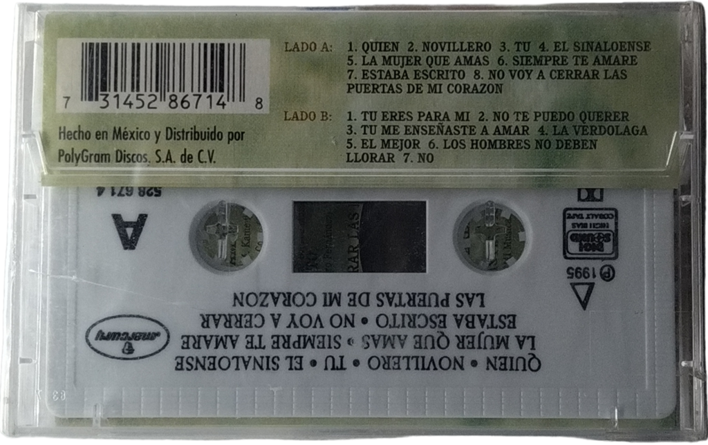 Pedro Fernandez - Pedro Fernandez