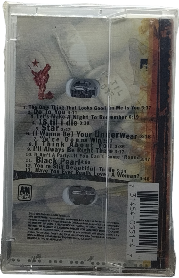 Bryan Adams - 18 Til I Die