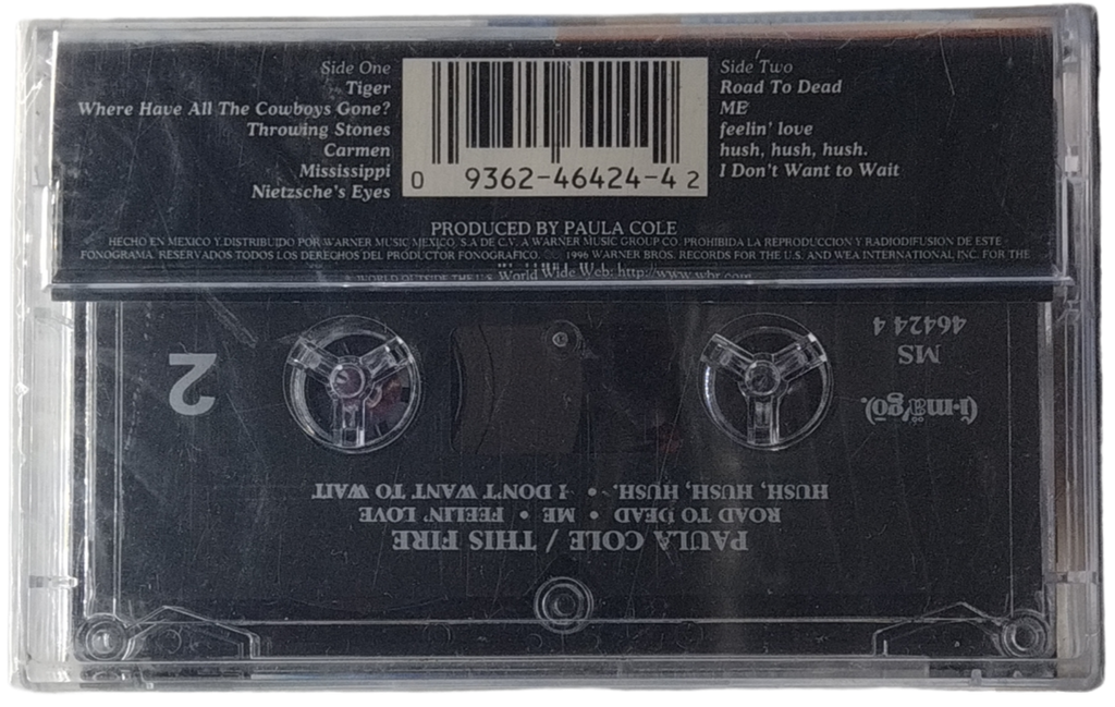 Paula Cole - This Fire