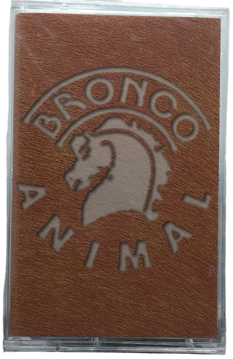 Bronco - Animal