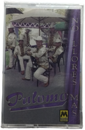 Palomo - No Llores Mas