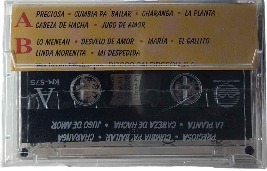 Alianza Digital - Preciosa