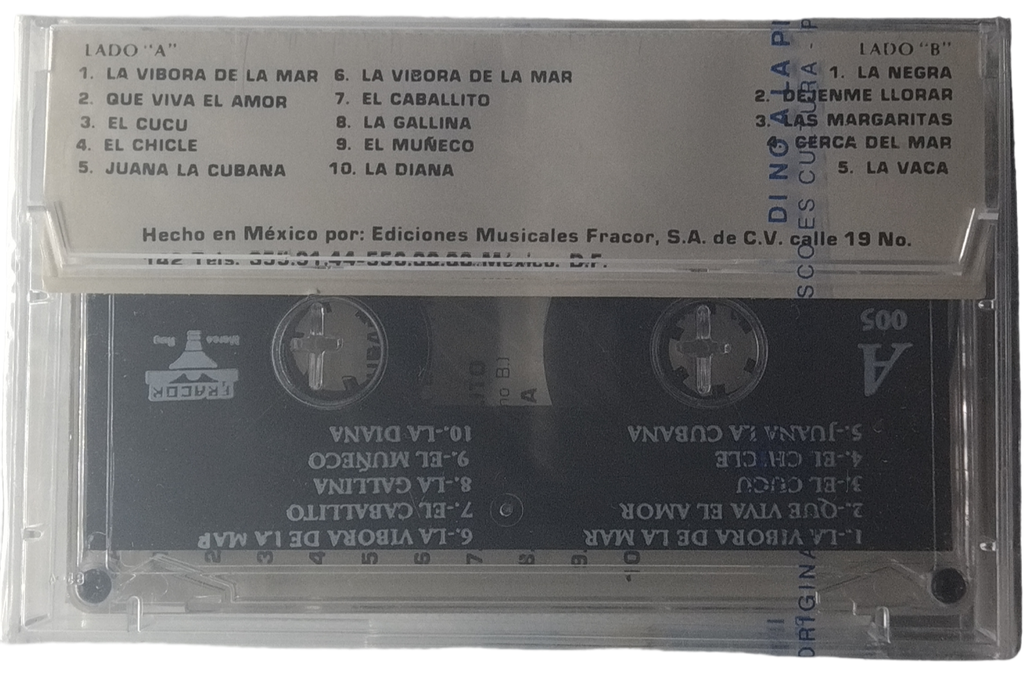 Banda Coronita - De San Jose Municipio De Tlanchinol Hidalgo