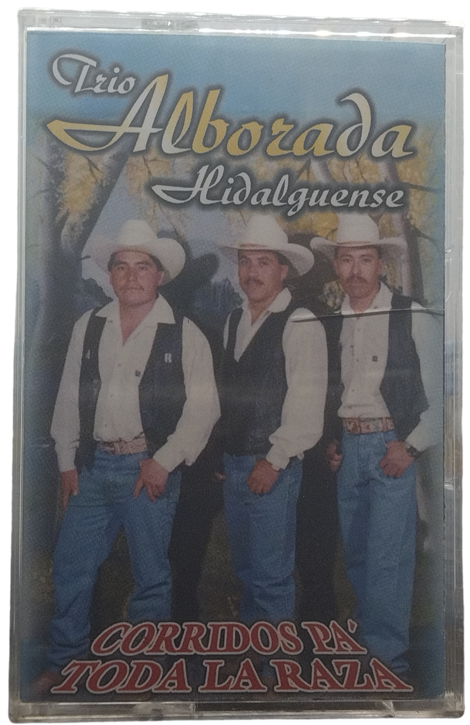 Trio Alborada Hidalguense - Corridos Pa' Toda La Raza Vol. 3