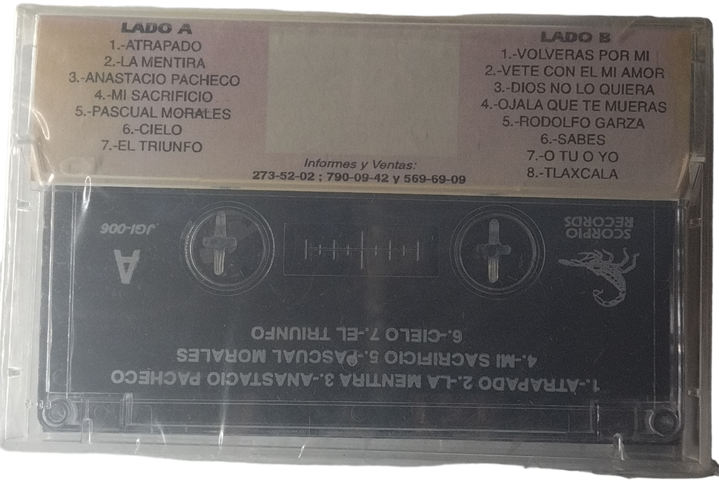 Trio Dinastia Hidalguense - Volveras Por Mi