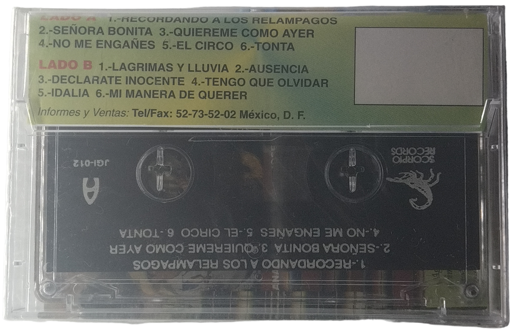 Trio Dinastia Hidalguense - 10 Años Para Usted