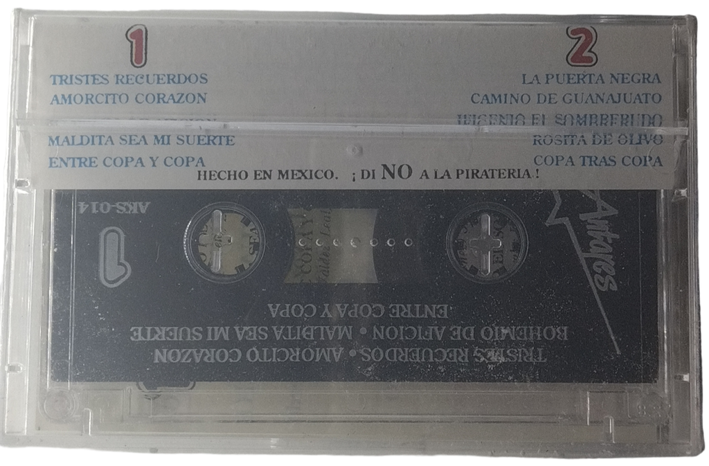 Juan Ignacio Arias - Lo Que No Canto Con Banda