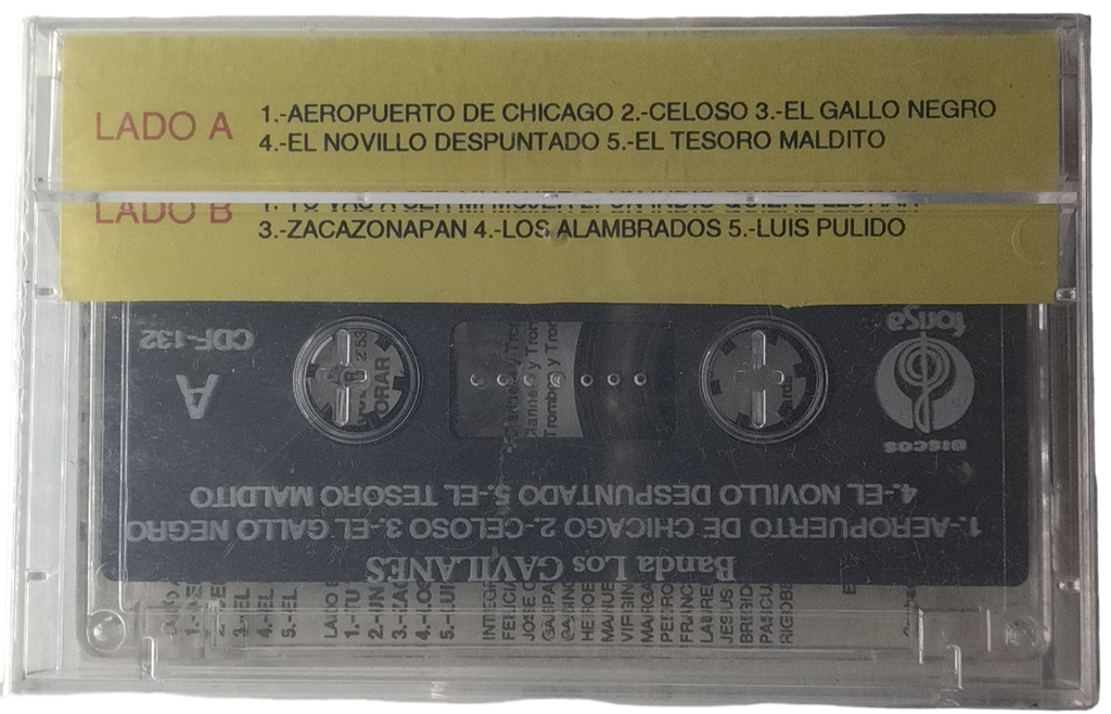Banda Los Gavilanes - Aeropuerto De Chicago