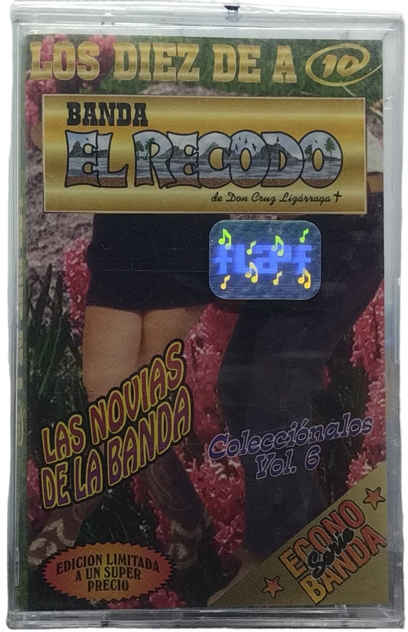 Banda El Recodo - Los Diez De A 10 Vol. 6